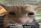 don't worry, all your secrets are safe with me literallymecats i have short term memory loss