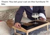 Them: You let your cat on the furniture?!! Me: