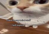 Thave to say weird stuff or I will explode