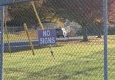 NO SIGNS