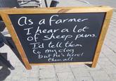 As a farmer I hear a lot of sheep puns. I'd tell them to my clog but he's herd them all. ABERDEEN