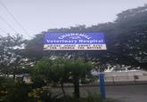 CHURCHILL Veterinary Hospital LOVE JOKES ABOUT EYES THE CORNEA THE BETTER +49 Medical
