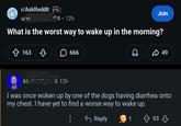 دو r/AskReddit U/vv 704.12h Join What is the worst way to wake up in the morning? ✩ 163 ♡ ☐ 666 49 6$ 6 12h I was once woken up by one of the dogs having diarrhea onto my chest. I have yet to find a worse way to wake up. ← Reply 1 93