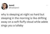 Jennii @hashjenni why is sleeping at night so hard but sleeping in the morning is like drifting away on a soft fluffy cloud while adele sings you a lullaby