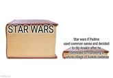 STAR WARS Star wars if Padme used common sense and decided to dip Anakin after he confessed to murdering a whole village of tusken raiders>> imgflip.com