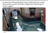 In Venice the pollution has reduced so much that even Louis Vuitton bags are starting to swim again