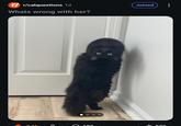 rr/catquestions 1d Whats wrong with her? 31k C Joined 187 573