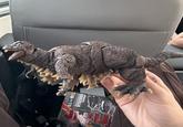 GODZILLA 110-20