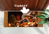 TiaMAT