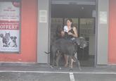 ICT ROYAL CANIN AVEC VOTRE CARTE DE FIDÉLITÉ ROYAL CANIN* 1 SAC DE CROQUETTES OFFERT* VETERNA ETERNAR