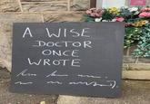 A WISE DOCTOR ONCE WROTE Hann henn
