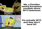 W I Me, a Floridian seeing Europeans complain about 30°C heatwaves It's actually 40°C and they don't have AC