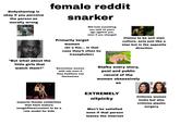 Bodyshaming is okay if you perceive the person as morally wrong female reddit snarker "F--- them kids." "But what about the little girls that watch them?" Primarily target women Will hold something you said 10 years ago against you, even if you changed (Or a ftm... in that case they'll often be transphobic) 4629 Colante Pruc. Claims to be anti stan culture, acts just like a stan but in the opposite direction NICKELODEON Demonizes women with eds even if they had/have one themselves Stalks every story, post and public record of the women obsessively SO EXTREMELY nitpicky expects female celebrities that have mature songs/films/content to be a role model for kids Won't be satisfied even if that person leaves the internet Criticize women looks but also criticize plastic surgery