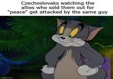 Czechoslovaks watching the allies who sold them out for "peace" get attacked by the same guy imgflip.com