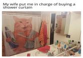 My wife put me in charge of buying shower curtain a