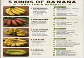 5 KINDS OF BANANA AND THEIR BENEFITS 1. CAVENDISH (Most Common) Sweet, creamy, and soft-textured - perfect for eating fresh. 2. RED BANANA Slightly sweet with a hint of raspberry flavor and creamy texture. BENEFITS Rich in potassium - supports heart health High in vitamin B6 - boosts brain function Good source of fiber - aids digestion Helps provide quick energy BENEFITS High in vitamin C - immunity supports Rich in antioxidants - fights free radicals Supports eye health May help improve mood 3. SABA BANANA (Cooking Banana) Starchy and firm when raw; becomes sweet when cooked. 4. LAKATAN Very sweet, juicy, and fragrant - a favorite dessert banana. BENEFITS Good source of complex carbohydrates - High in fiber promotes healthy digestion Provides long-lasting energy Supports heart health BENEFITS High in natural sugars - great energy booster Rich in potassium- helps maintain healthy blood pressure Contains vitamin B6 - supports brain and nerve function Promotes healthy skin 5. CARDABA Large, firm, and less sweet - best cooked. BENEFITS High in resistant starch - supports gut health Good source of potassium and magnesium Helps regulate blood sugar Supports muscle function