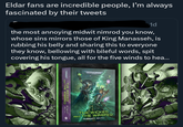 Eldar fans are incredible people, I'm always fascinated by their tweets 1d the most annoying midwit nimrod you know, whose sins mirrors those of King Manasseh, is rubbing his belly and sharing this to everyone they know, bellowing with bileful words, spit covering his tongue, all for the five winds to hea... THE WORDED RATH AND THE G WARHAMMER 40.000 THE WICKED AND THE WARPED ROBERT RATH