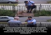 A DACHSHUND GREETED HIS FAVORITE MAILMAN WITH A TENNIS BALL EVERY DAY. AFTER THE DOG PASSED AWAY, THE MAILMAN RECEIVED THE BALL AS A FINAL GOODBYE