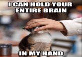 I CAN HOLD YOUR ENTIRE BRAIN IN MY HAND