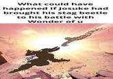 What could have happened if Josuke had brought his stag beetle to his battle with Wonder of u