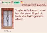 : Anonymous (ID: PqSKtsz8)= 07/11/26(Sat) 16:19:59 No.538747053 130 KB JPG Today I learned that Americans don't have bars on their windows. My question is, how the hell do they keep gypsies from getting in?