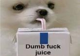 Dumb f--- juice