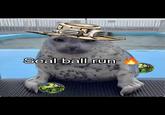 Orant Seal ball run