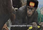 Spaghetti together strong.