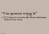 "I'm gonna wing it" THEY THE PARTY about something I most definitely should not wing imgflip.com