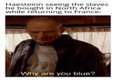 Haesteinn seeing the slaves he bought in North Africa while returning to France: Why are you blue?