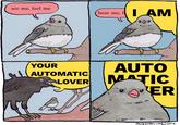see me, feel me hear me, I AM ^. YOUR AUTOMATIC LOVER AUTO MATIC "It m ER vreden... illen FALSE KNEES COMⒸ 2016