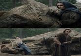 King Targaryen