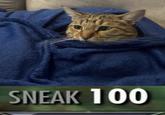 SNEAK 100