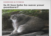 EXERCISE & FITNESS Is it too late to save your posture? manulmode alpacazaemon
