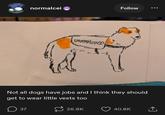 normalcei Follow UNEMPLOYED Not all dogs have jobs and I think they should get to wear little vests too ☐ 37 26.8K 40.8K