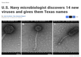 Texas News U.S. Navy microbiologist discovers 14 new viruses and gives them Texas names By Josh Archote | San Antonio Report Published July 13, 2026 at 5:41 AM CDT f Xin ต 1 100.0kV 2024/09/05 12:31 x60.0k Zoom-1 HR-1 100.0kV 2024/09/05 11:15 x60.0k Zoom-1 HR-1 100.0kV 2024/10/15 15: B. C 200nm 200nm Courtesy/Yoon Hwang