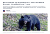 Investigators Say Colorado Bear That Ate Human Remains Shouldn't Crave People Investigators don't think a bear or bears that ate parts of a human body found Sunday near Grand Mesa in western Colorado will develop a taste for people. They likely didn't hunt the person, but instead scavenged someone already dead. Mark Heinz July 10, 2026▪ 4 min read Investigators don't think a bear or bears that ate parts of a human body found Sunday near Grand Mesa in western Colorado will develop a taste for people. They likely didn't hunt the person, but instead scavenged someone already dead. Above, and American black bear. (Getty Images)