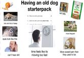 lots and lots of sleep eyes look like this can't hear s--- Having an old dog starterpack +What to do with a pets body vet bills Greenies PILL POCKETS PERNUT BUTTER FLAVOR 30 Qwhat to do with a pet's body when it dies n what to do with a mata hadu more frequent time feels like its moving too fast More sweet/calm then they used to be
