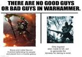 THERE ARE NO GOOD GUYS OR BAD GUYS IN WARHAMMER. Brave and noble Necron Overlord defending his people and planet from a hostile galaxy. imgflip.com Dirty bigoted alien made to kill, out to genocide the dynasty for daring to exist.