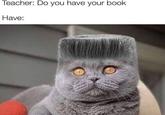 Teacher: Do you have your book Have: