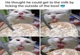 He thought he could get to the milk by licking the outside of the bowl