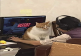 DEFEAT