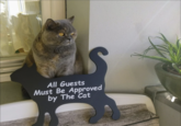 All Guests Must Be Approved by The Cat