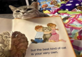PAW P but the best kind of cat is your very own.