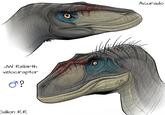 JW Rebirth velociraptor σ? Odilon R.R Acurado