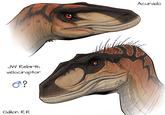 JW Rebirth velociraptor σ? Odilon R.R Acurado