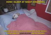 HOW I SLEEP AT NIGHT KNOWING HAVING A SMALL D--- IS GOOD BECAUSE SMALL CREATURES IN PATHFINDER ARE 24 INCHES