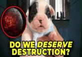 DO WE DESERVE DESTRUCTION?