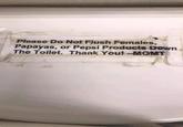 Please Do Not Flush Females, Papayas, or Pepsi Products Down The Toilet. Thank You! -MGMT
