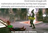 Orcish brains struggle with mathematics and astronomy, but they learn languages, philosophy, and construction as easily as any human. Orcs Me You and I are not so different, imgflip.com